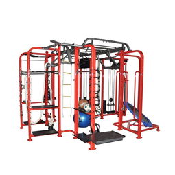 室內(nèi)健身房綜合訓(xùn)練器 多功能健身器材及配套教育軟件的應(yīng)用